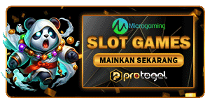 MICRO GAMING